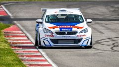 Gallery - immagine 2#