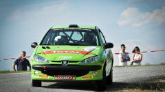 Gallery - immagine 8#