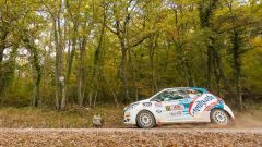 Gallery - immagine 3#