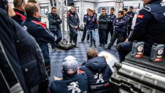Gallery - immagine 5#