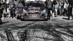 Gallery - immagine 6#