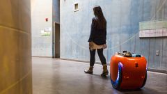 Robot Piaggio Gita: foto, specifiche, prezzo, autonomia