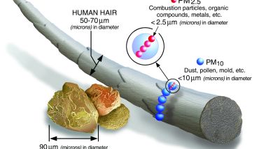 PM2.5, le micropolveri ''killer'' (Credits: EPA)