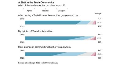 Proprietari Tesla Model 3: mai più un modello termico (fonte: Bloomberg)