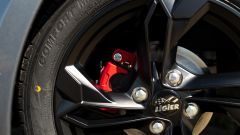 Gallery - immagine 5#