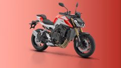 QJ Motor SRK 800 naked: prezzo, quando arriva