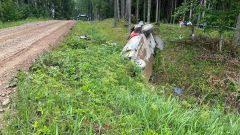 Spaventoso incidente per Tanak nel Rally Estonia