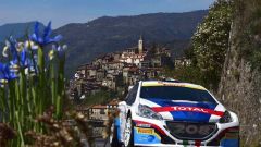 Gallery - immagine 4#