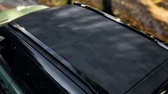 Gallery - immagine 10#