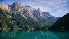 Gallery - immagine 3#