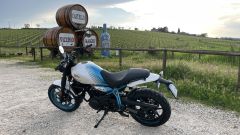 Gallery - immagine 11#