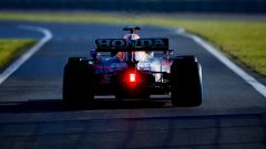 Gallery - immagine 7#