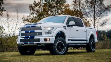 Shelby F-150 Off-Road Truck