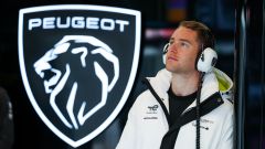 Stoffel Vandoorne pilota Peugeot a tempo pieno