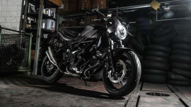 Suzuki SV650X-TER