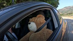 Il video dell'orso peluche che guida una Tesla (e fa un incidente)