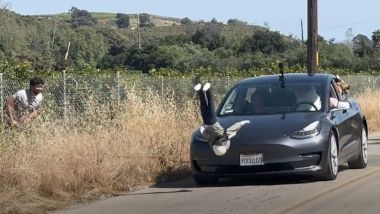 Tesla e la guida autonoma: ancora tanta strada (Twitter / Dan O'Dowd)