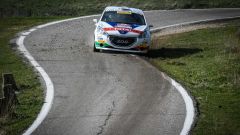 Rally Due Valli: Ciuffi e Peugeot vincono il Titolo Due Ruote Motrici