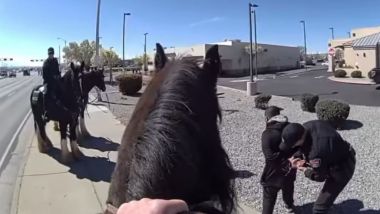 Tre poliziotti a cavallo, un ladro a piedi: non c'è partita