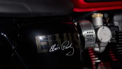 Gallery - immagine 9#
