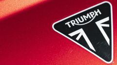 Triumph: i colori 2024 di Speed Triple, Tiger e Rocket 3