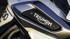 Triumph Tiger 1200 2021: foto, novità, rumors, della maxi enduro