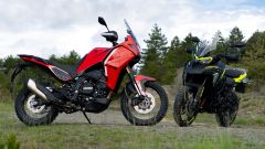 Gallery - immagine 10#