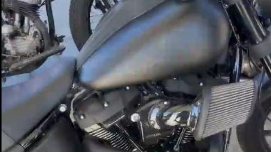 Un'HD Low Rider S è l'ultima perla della collezione di Jason Momoa