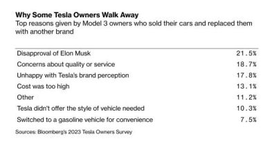 Vendere la propria Tesla per ''colpa'' di Elon Musk (fonte: Bloomberg)