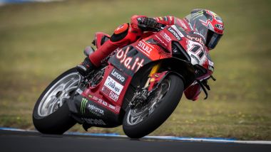 WorldSBK Phillip Island 2024 - Nicolò Bulega (Ducati)