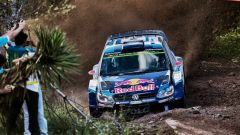 Gallery - immagine 3#