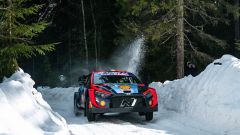 Rally Svezia 2023: aggiornamenti prima giornata