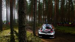 Rally Finlandia 2024: aggiornamenti seconda giornata