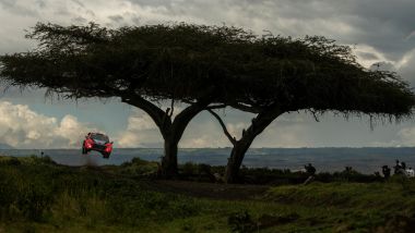 WRC 2024, Safari Rally Kenya: Thierry Neuville (Hyundai)