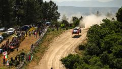 Gallery - immagine 2#