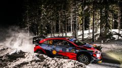 Rally Ciocco: la Hyundai porta anche Breen!