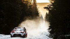 Rally Svezia: guida la Toyota con Evans e Rovampera