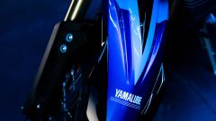 Gallery - immagine 4#