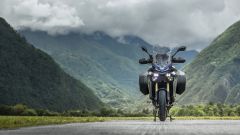 Gallery - immagine 11#